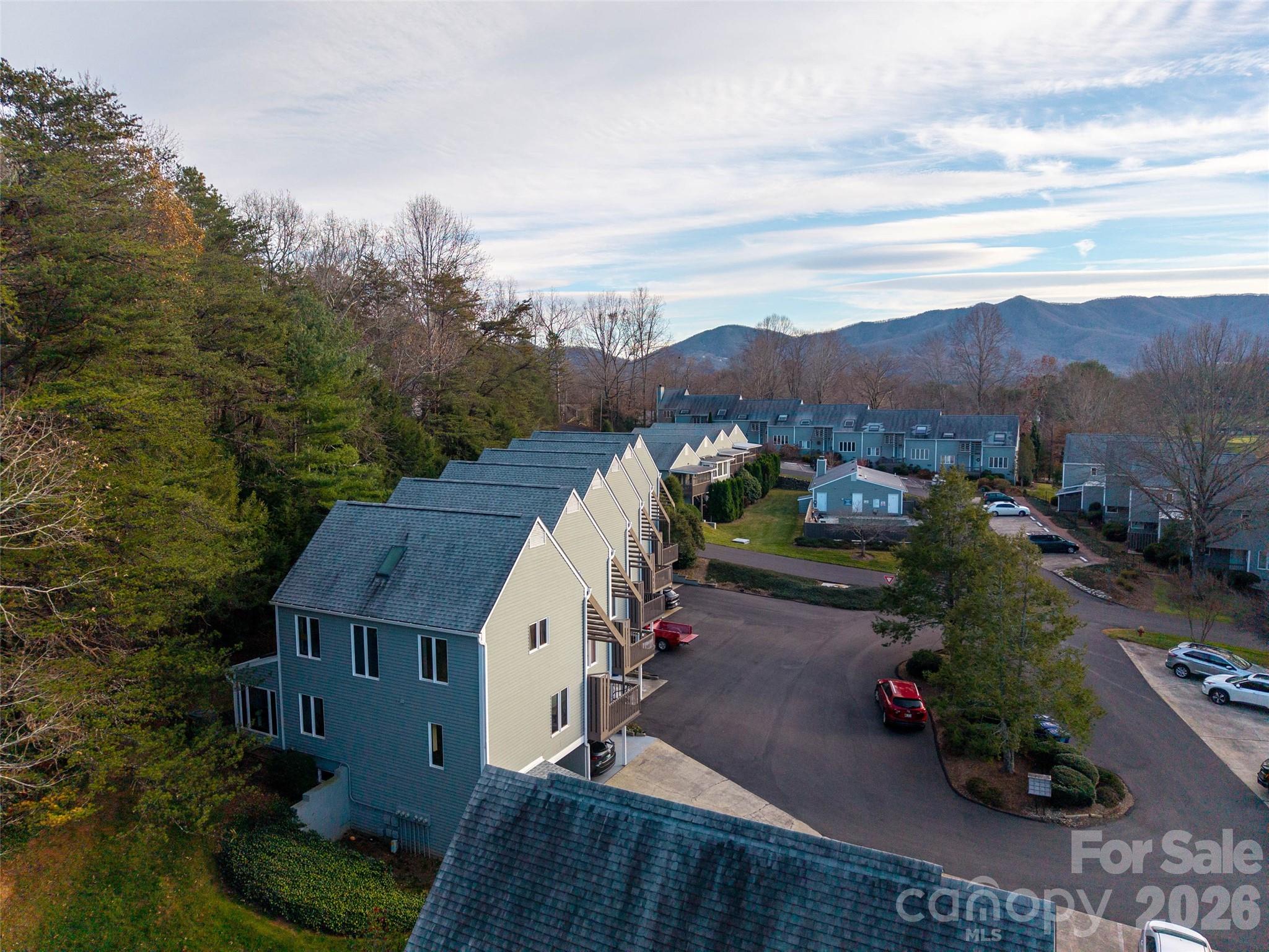 1 Lynx Drive Black Mountain NC 28711