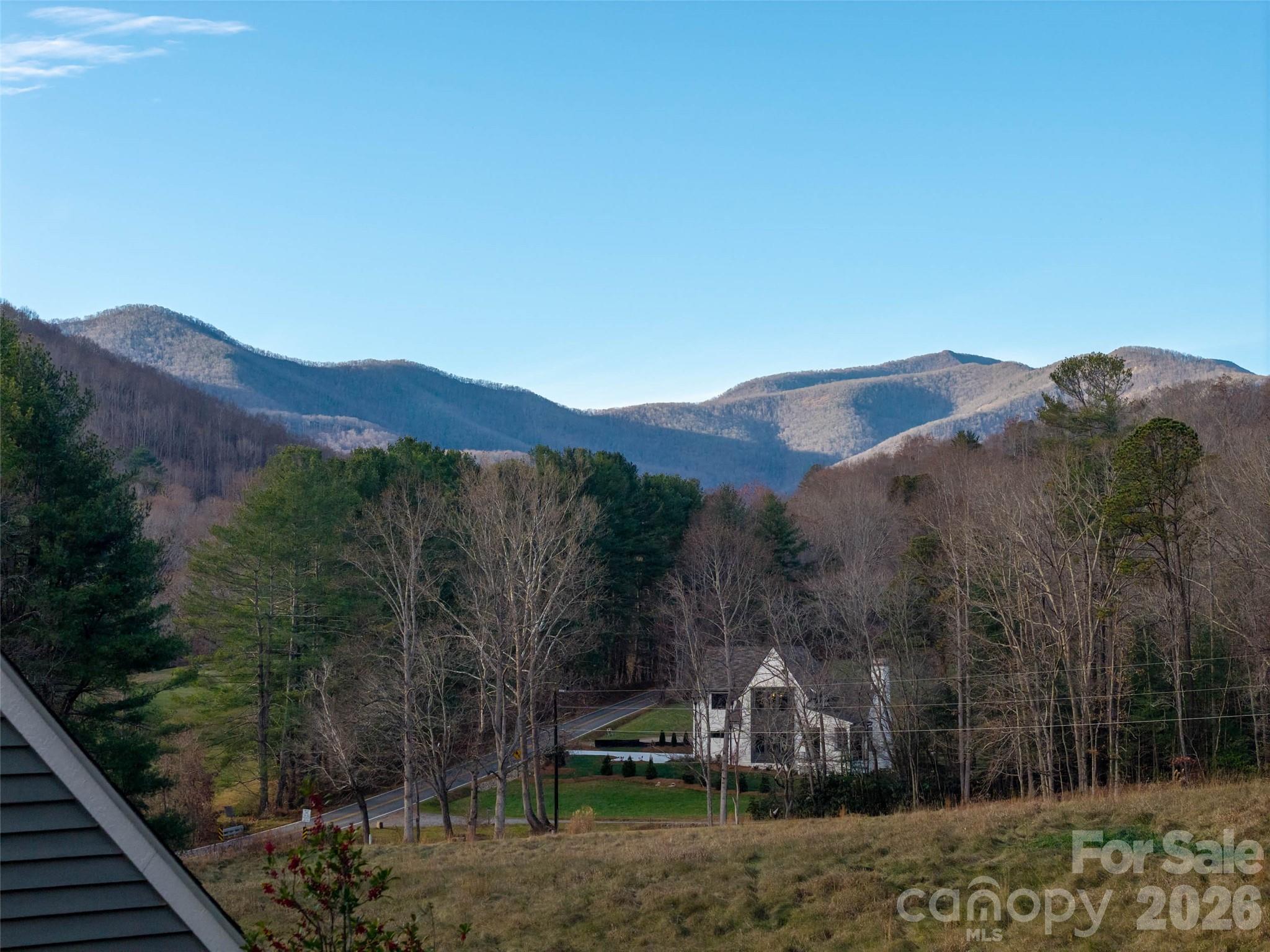 1 Lynx Drive Black Mountain NC 28711