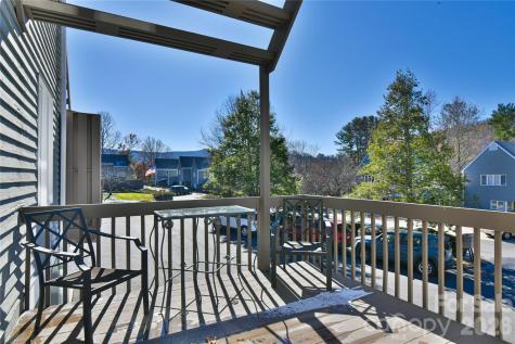 1 Lynx Drive Black Mountain NC 28711