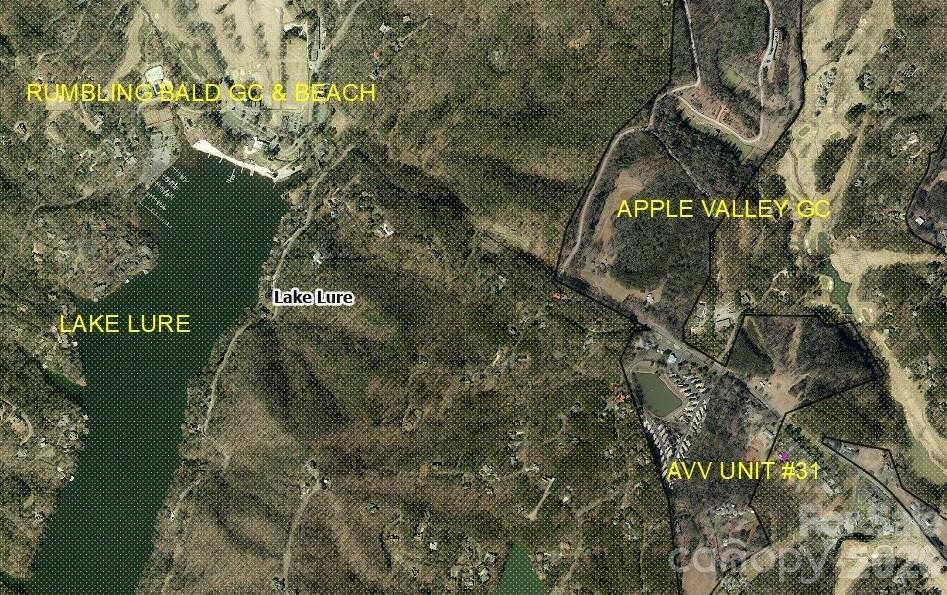 160 Whitney Boulevard Lake Lure NC 28746