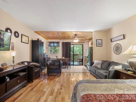 160 Whitney Boulevard Lake Lure NC 28746