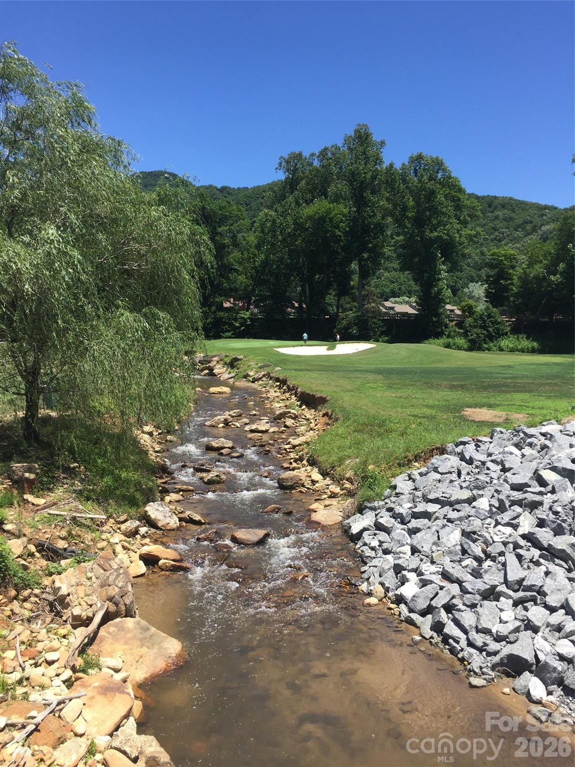 160 Whitney Boulevard Lake Lure NC 28746