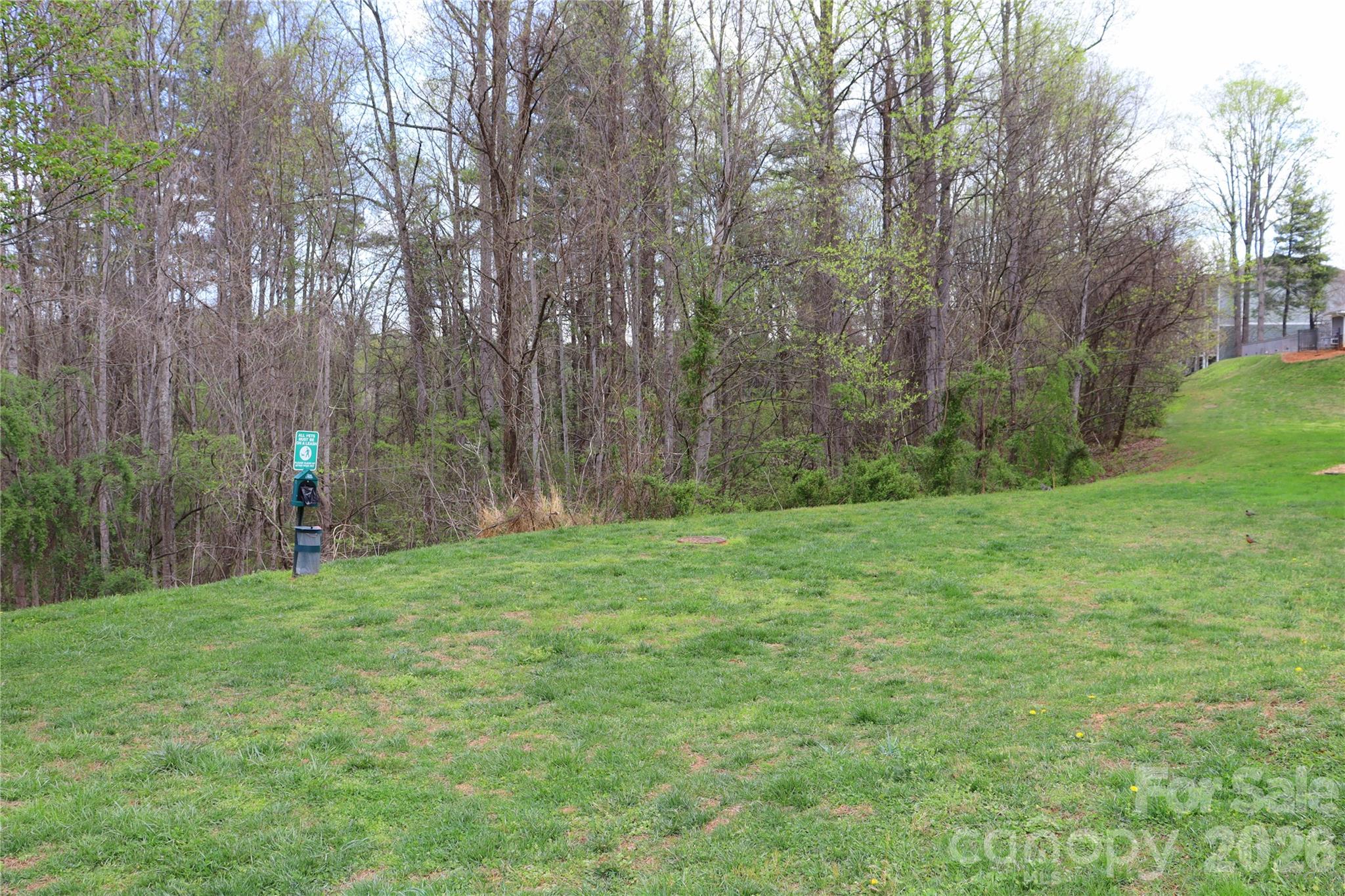 700 Vista Lake Drive Candler NC 28715