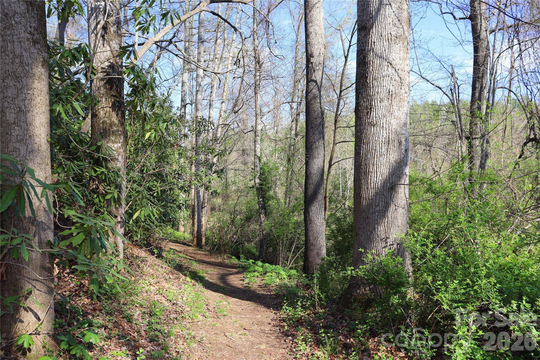 700 Vista Lake Drive Candler NC 28715