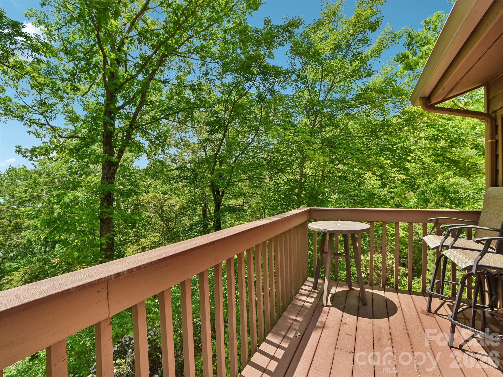 155 Quail Cove Boulevard Lake Lure NC 28746