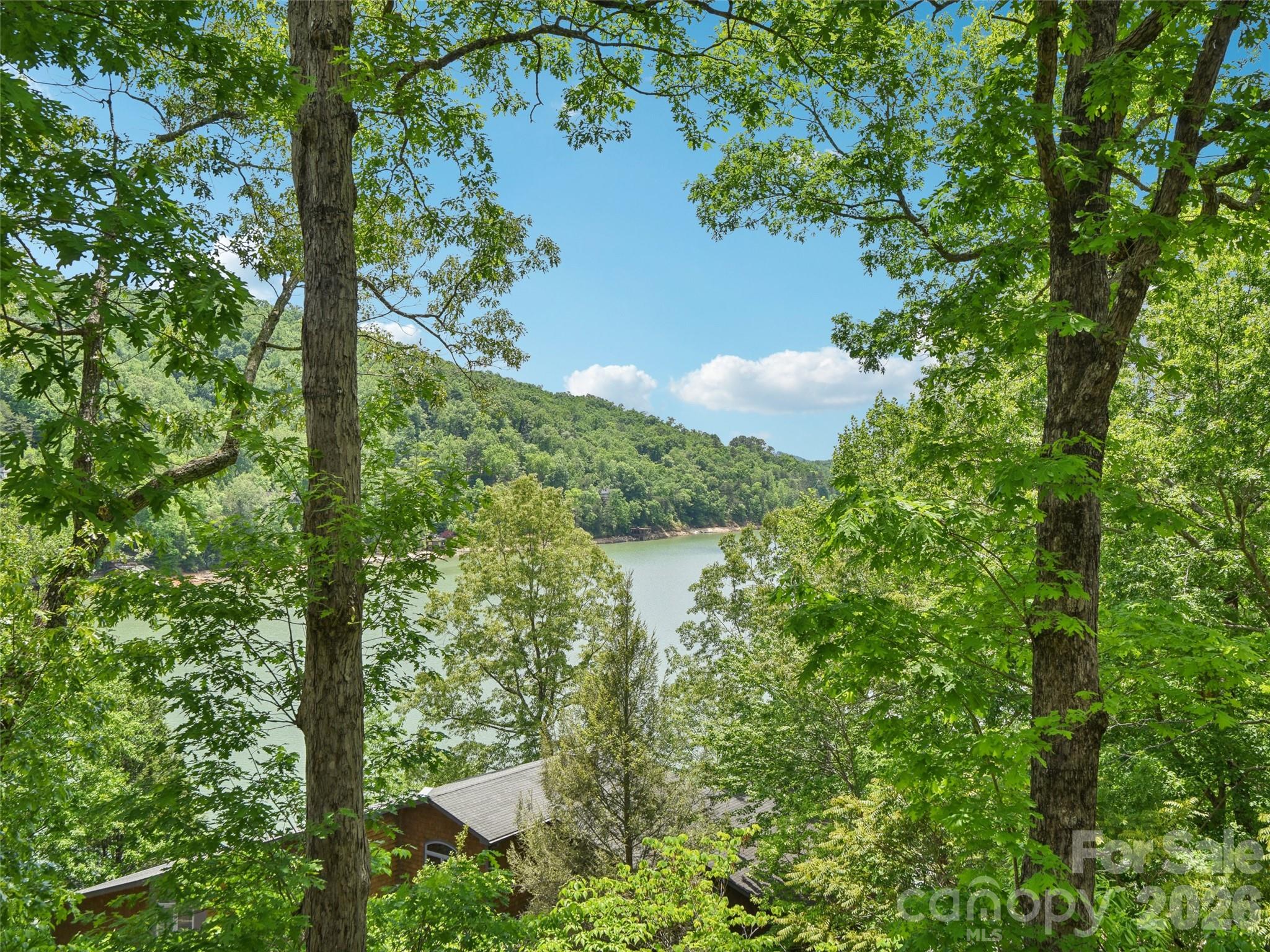 155 Quail Cove Boulevard Lake Lure NC 28746