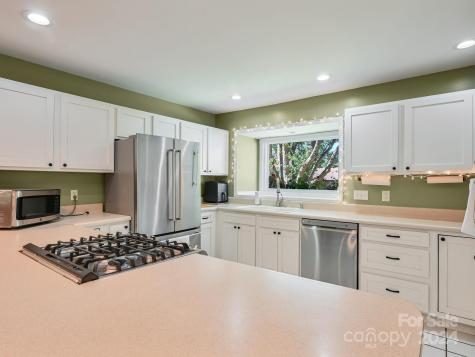 20 Foxglove Court Asheville NC 28805