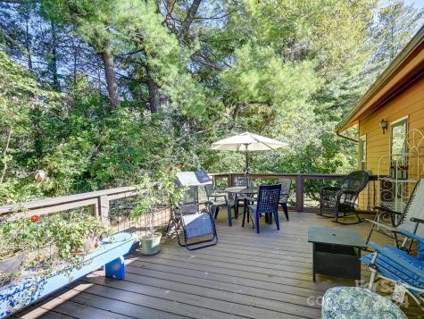 20 Foxglove Court Asheville NC 28805