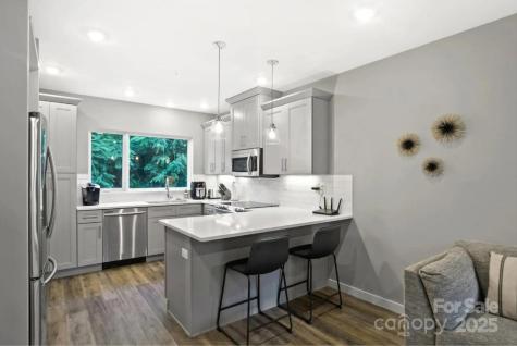 102 Southside Avenue Asheville NC 28801