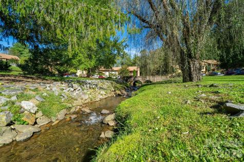12 Pebble Creek Drive Asheville NC 28803