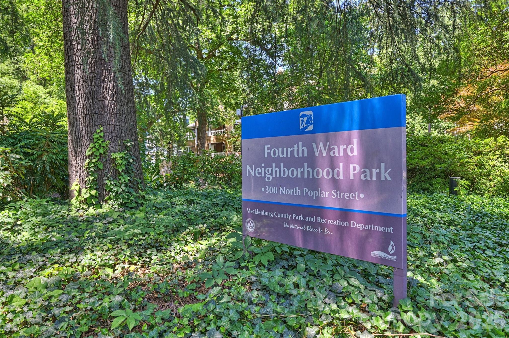 520 N Poplar Street Charlotte NC 28202