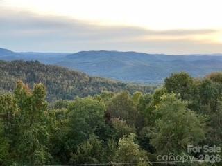 1403 Fleetwood Plaza Hendersonville NC 28739