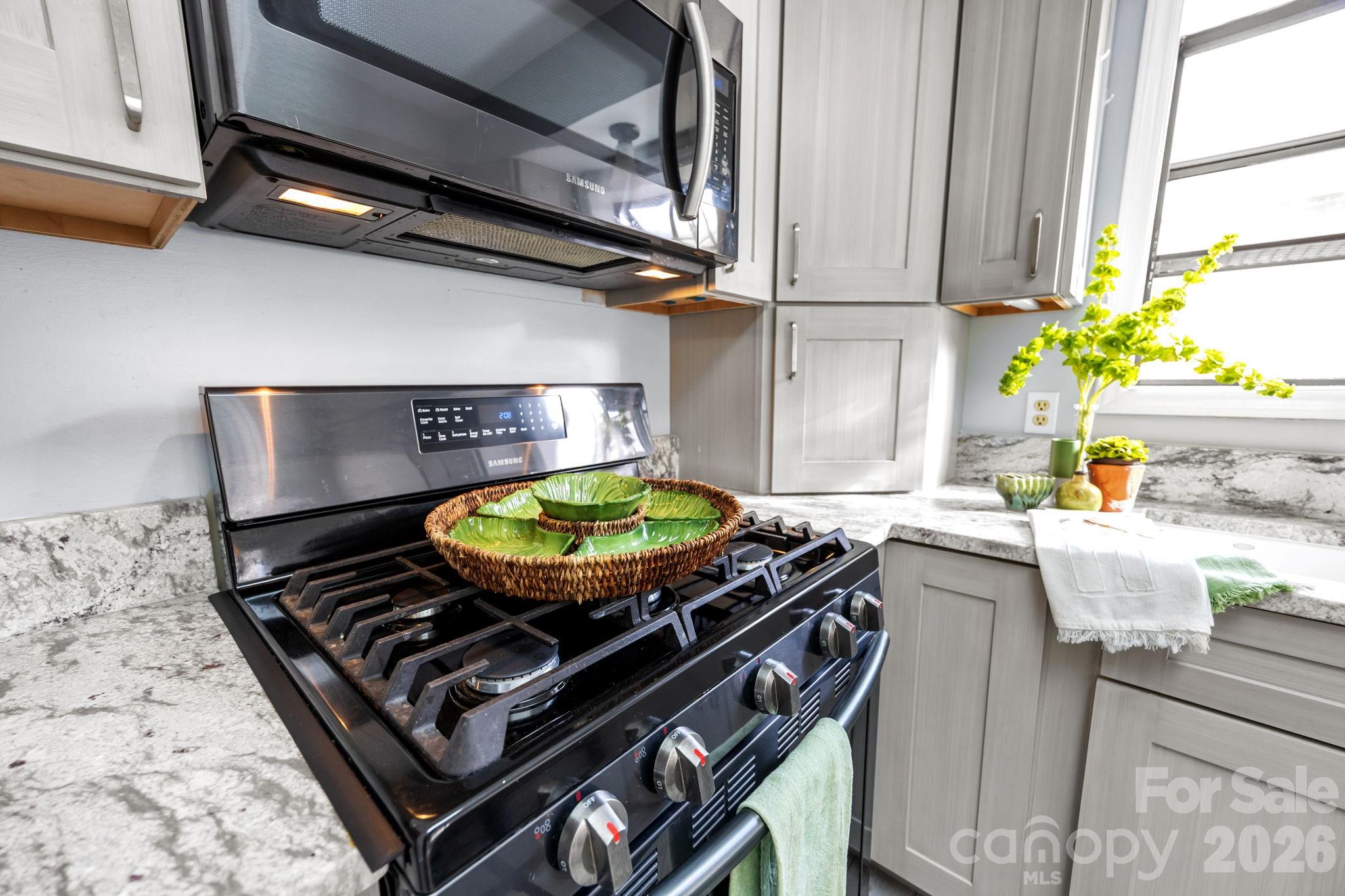 125 Exeter Court Hendersonville NC 28791