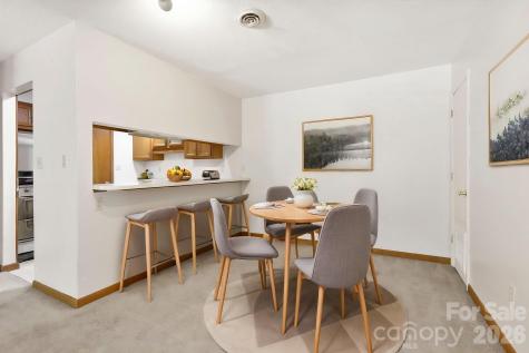 48 Ravencroft Lane Asheville NC 28803