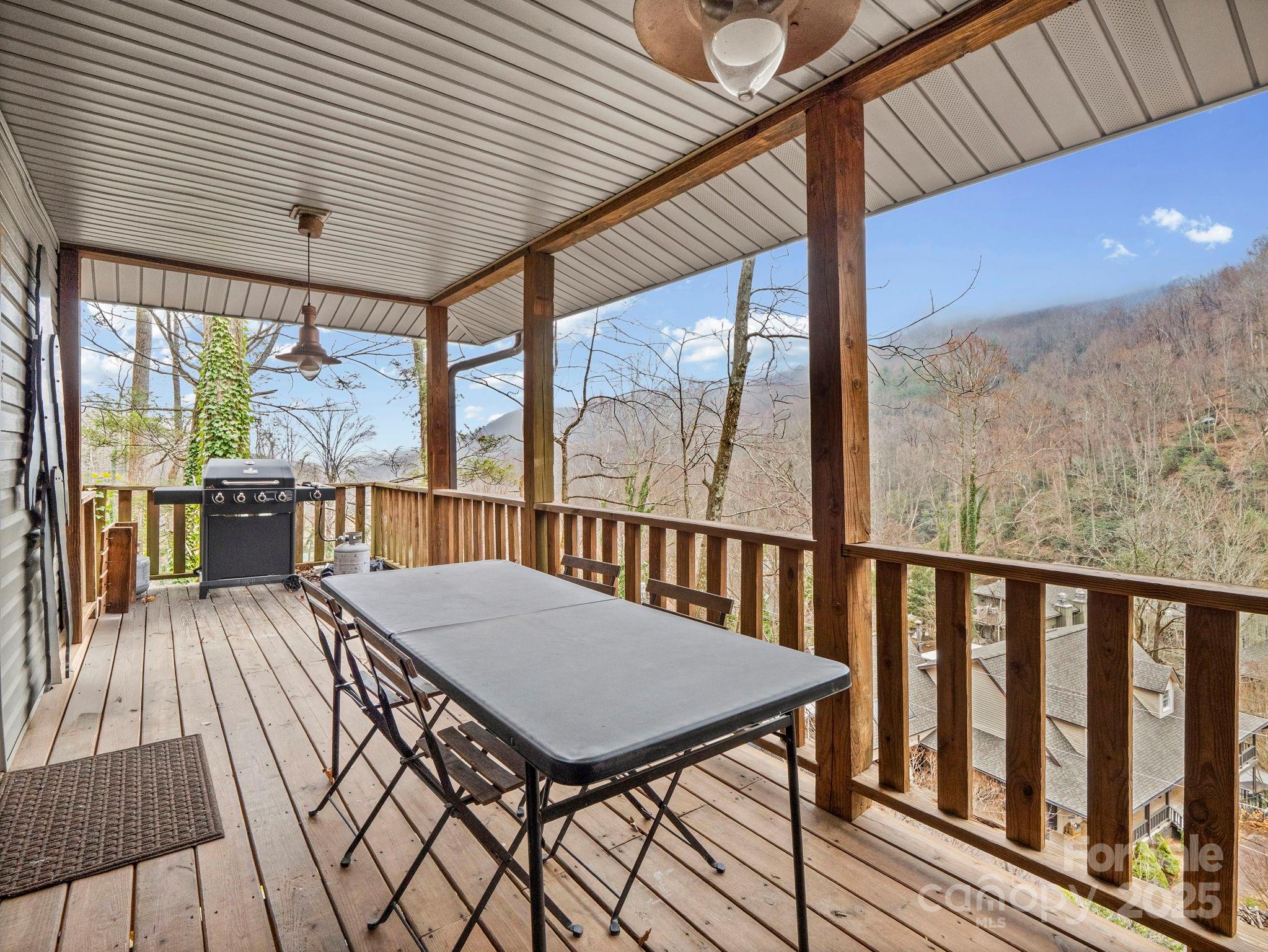 950 Main Street Chimney Rock NC 28720