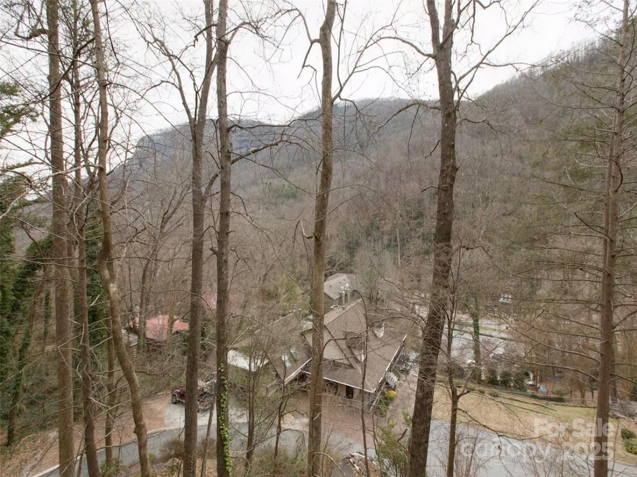950 Main Street Chimney Rock NC 28720