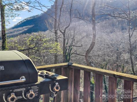 950 Main Street Chimney Rock NC 28720