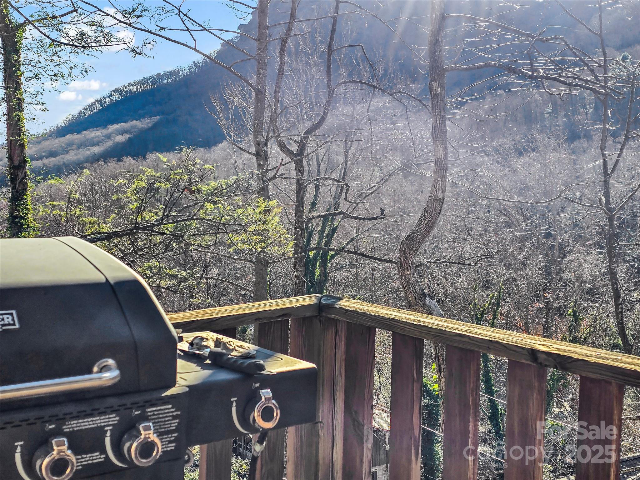 950 Main Street Chimney Rock NC 28720