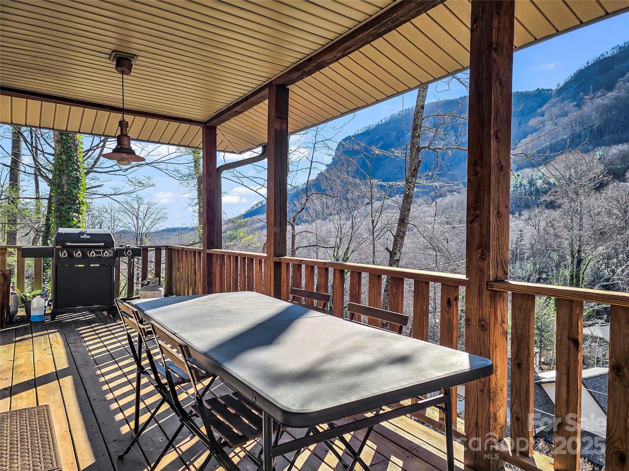 950 Main Street Chimney Rock NC 28720
