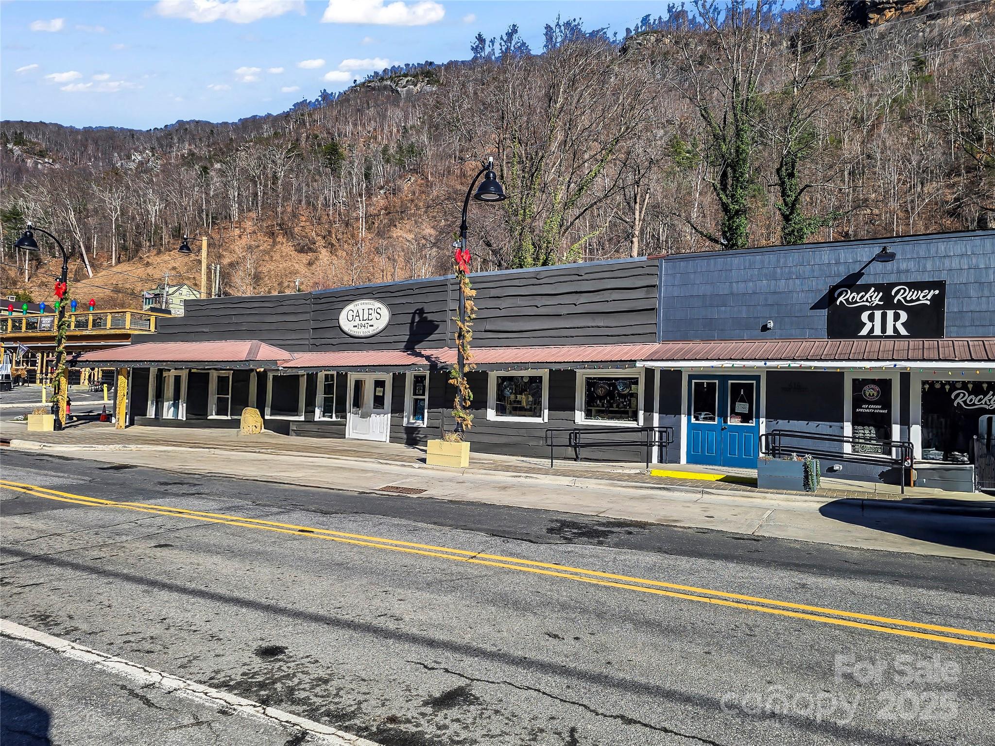 950 Main Street Chimney Rock NC 28720