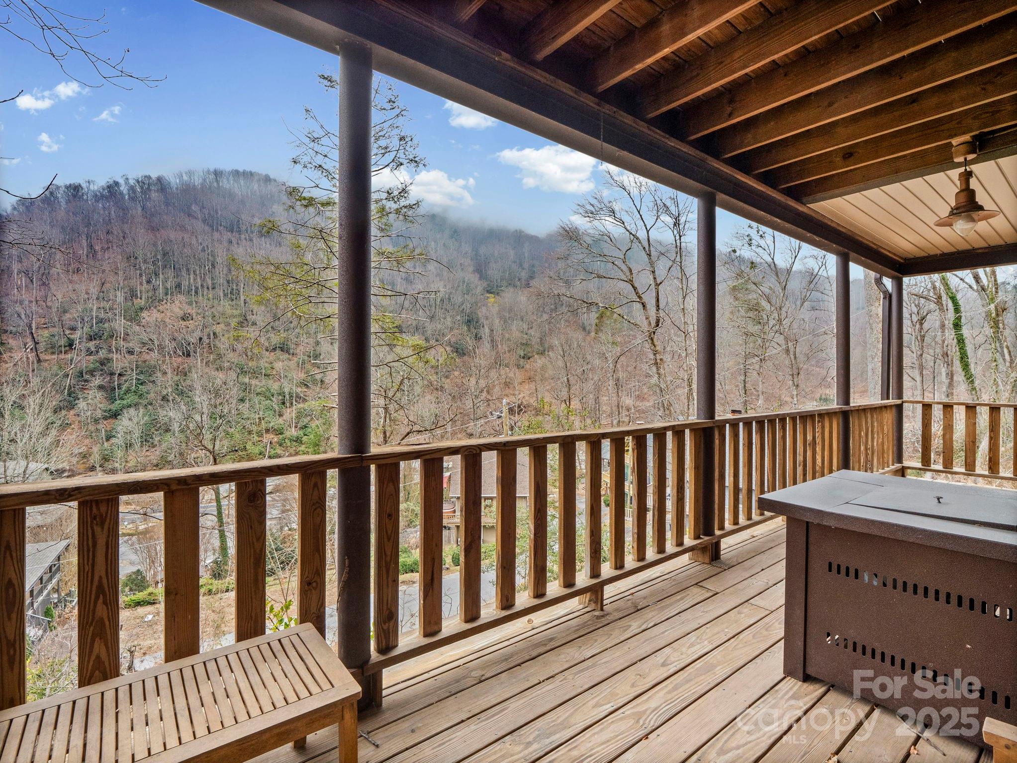 950 Main Street Chimney Rock NC 28720