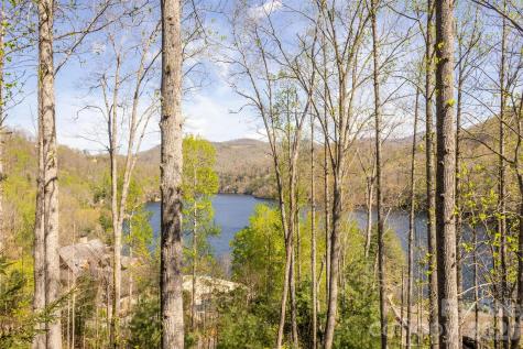 103 Southshore Drive Tuckasegee NC 28783