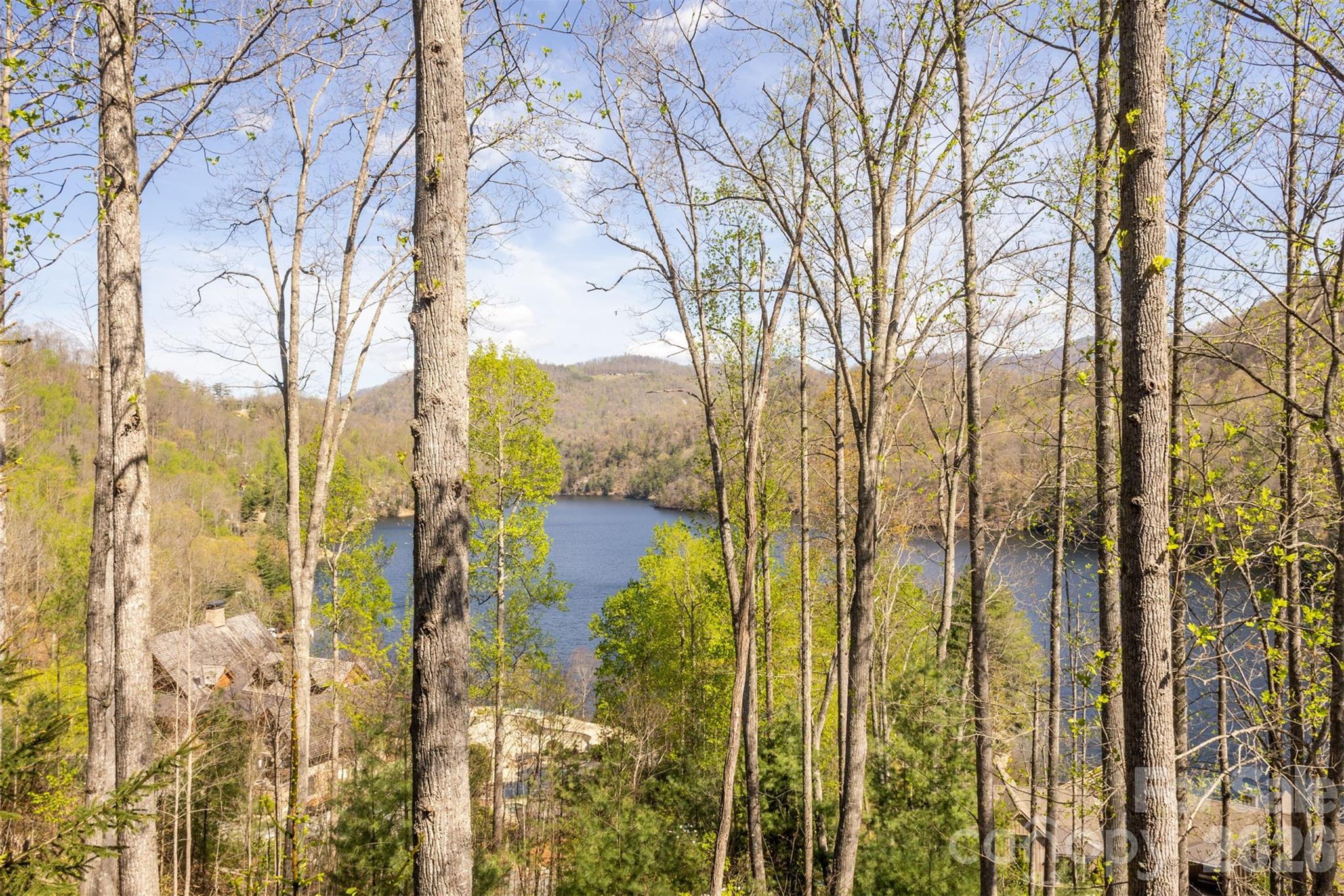 103 Southshore Drive Tuckasegee NC 28783