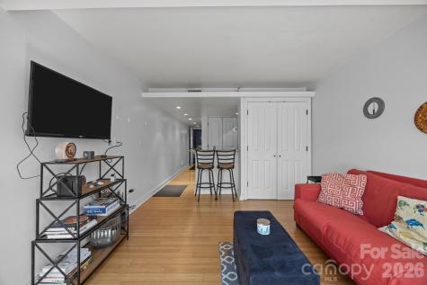 37 Hiawassee Street Asheville NC 28801