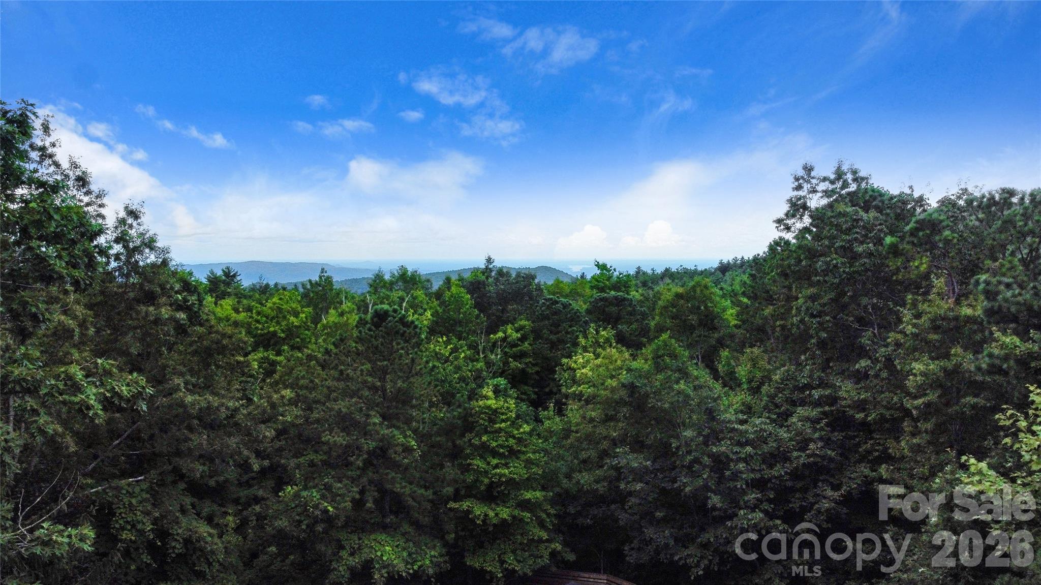 121 Toxaway Views Drive Lake Toxaway NC 28747