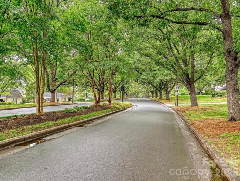 7004 Quail Hill Road Charlotte NC 28210