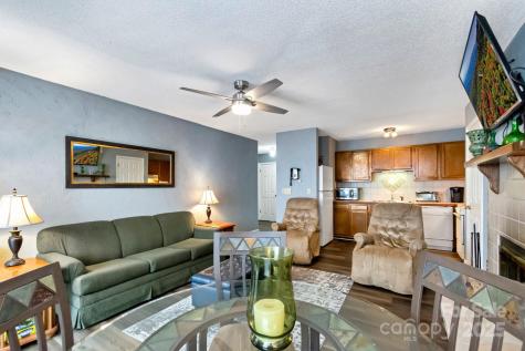 301 Pinnacle Inn Road Beech Mountain NC 28604