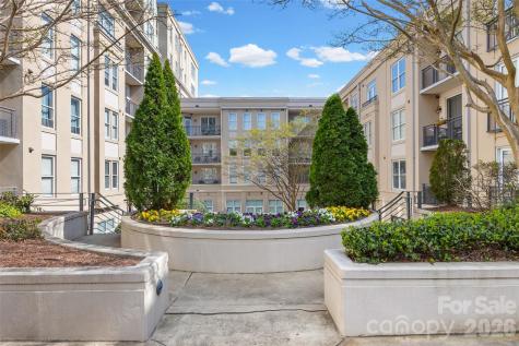 1315 East Boulevard Charlotte NC 28203