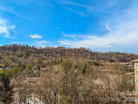 9 Kenilworth Knoll Asheville NC 28805