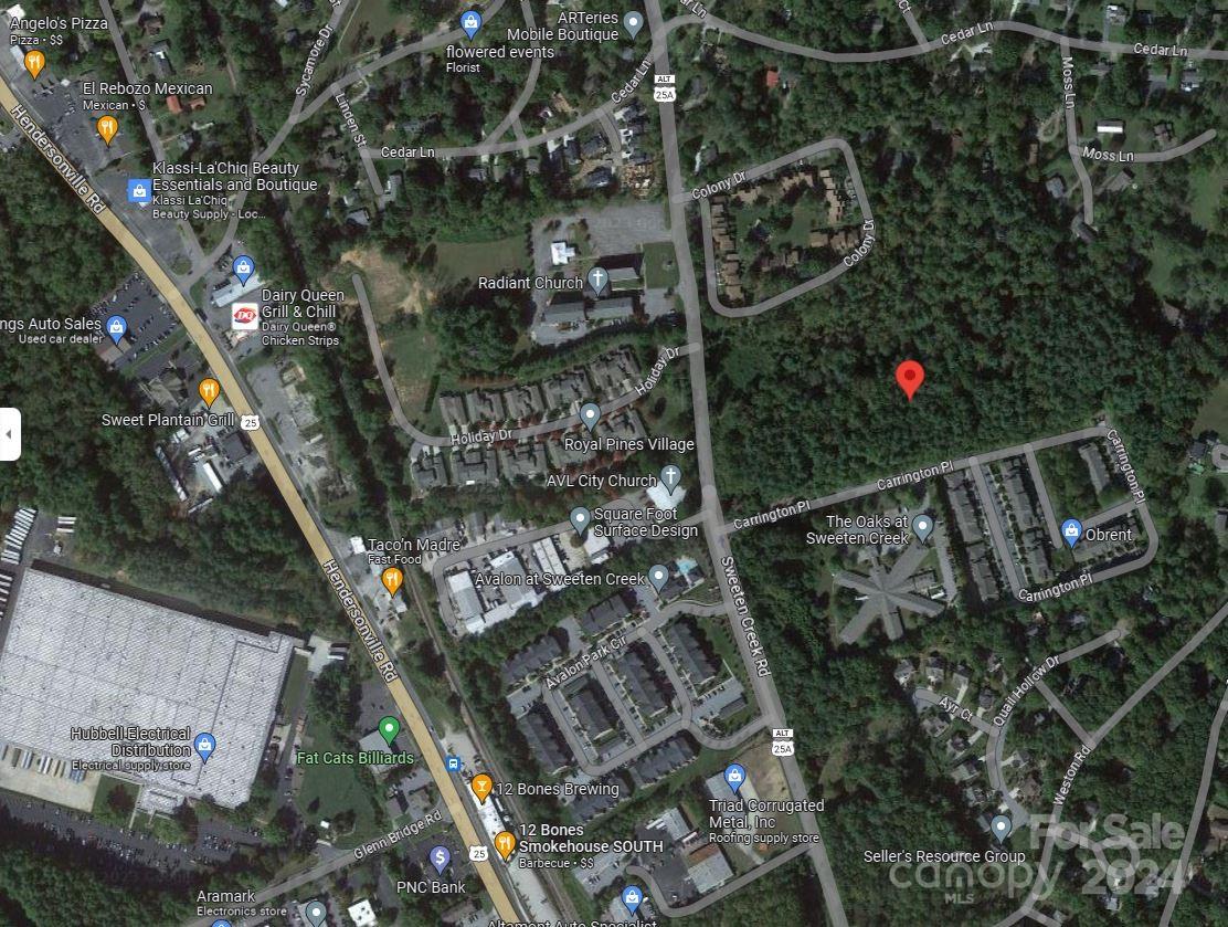 3862 Sweeten Creek Road Arden NC 28704