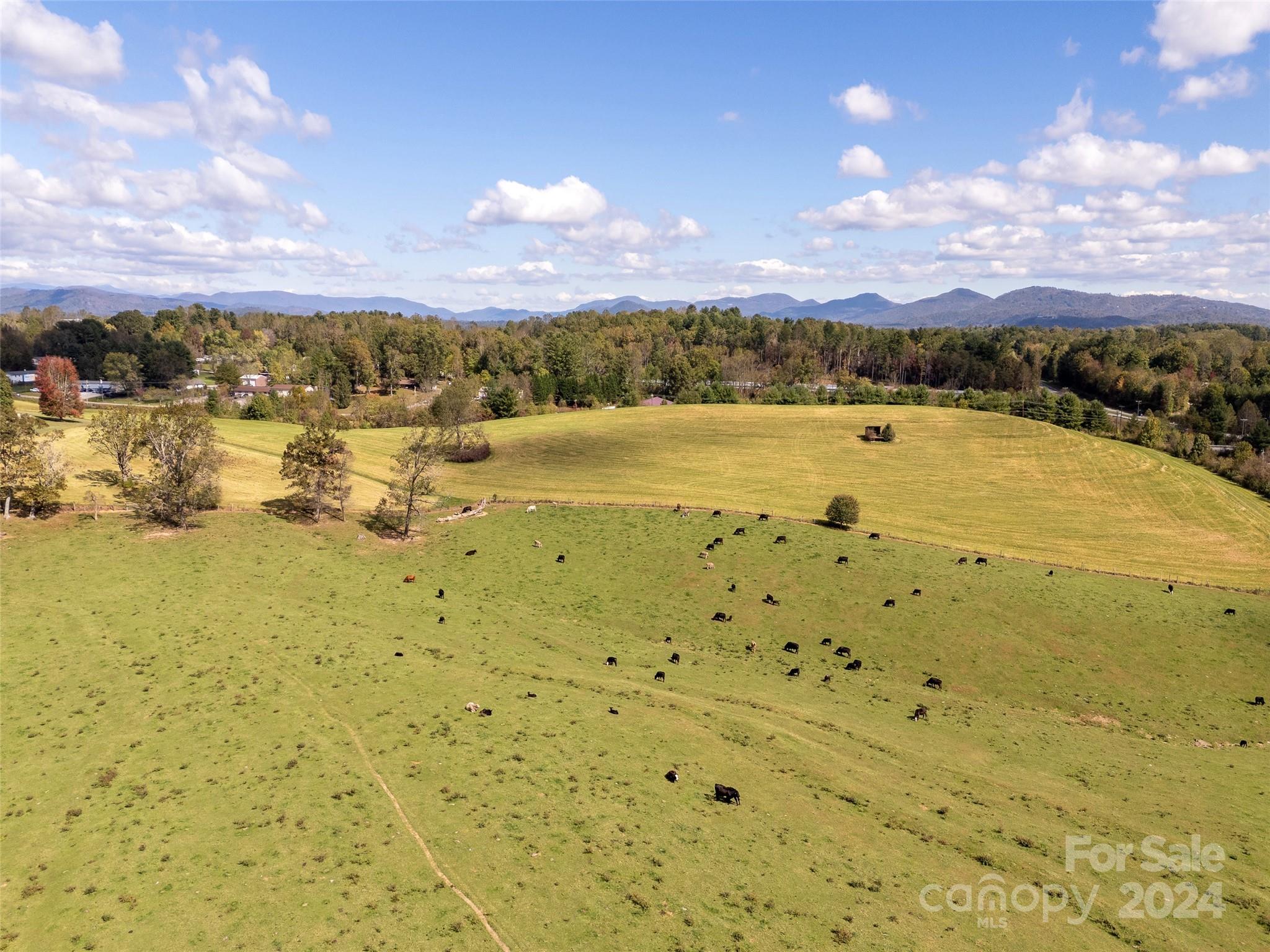 182 N Mills River Road Mills River NC 28759