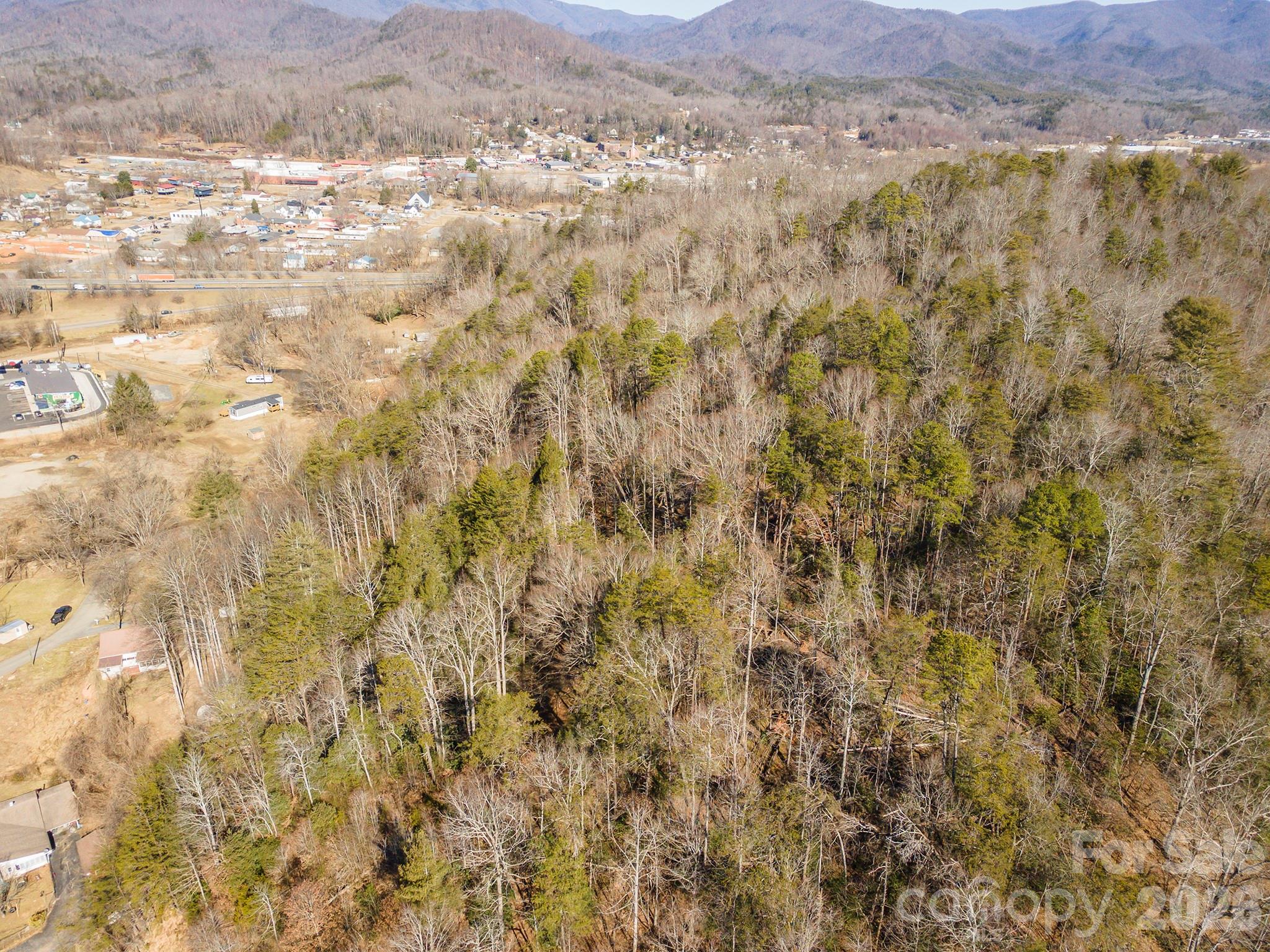 717 Bat Cave Road Old Fort NC 28762