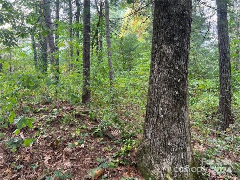3967 Howard Gap Road Hendersonville NC 28792