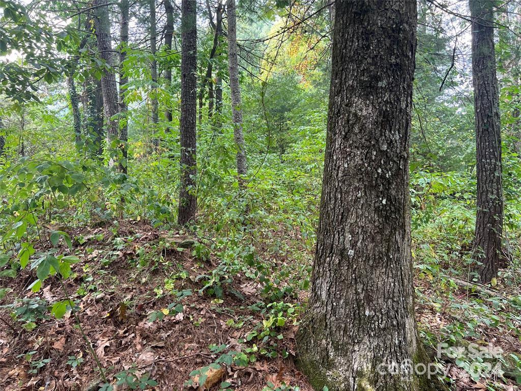 3967 Howard Gap Road Hendersonville NC 28792
