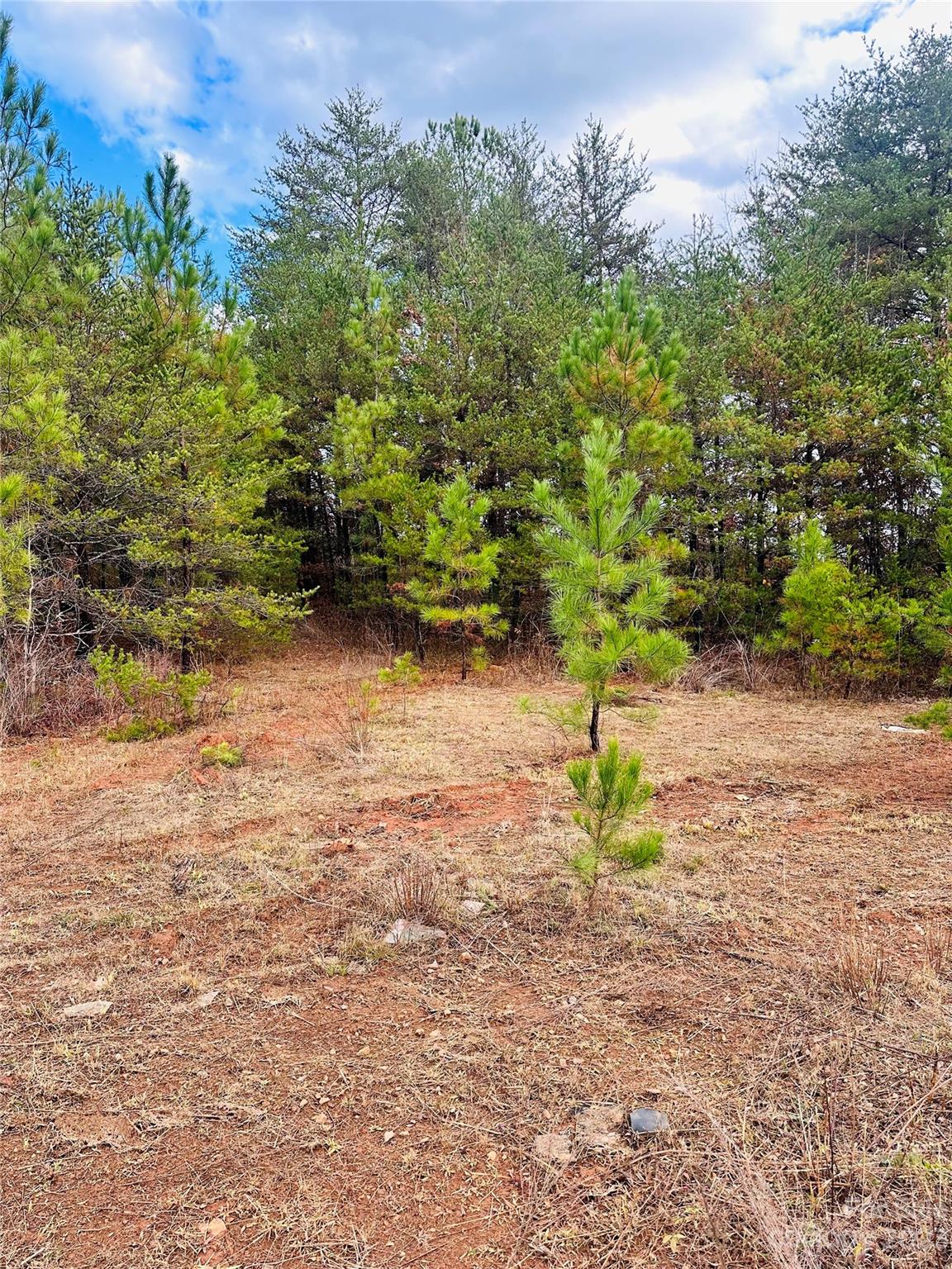 352 Sunnyview Drive Rutherfordton NC 28139