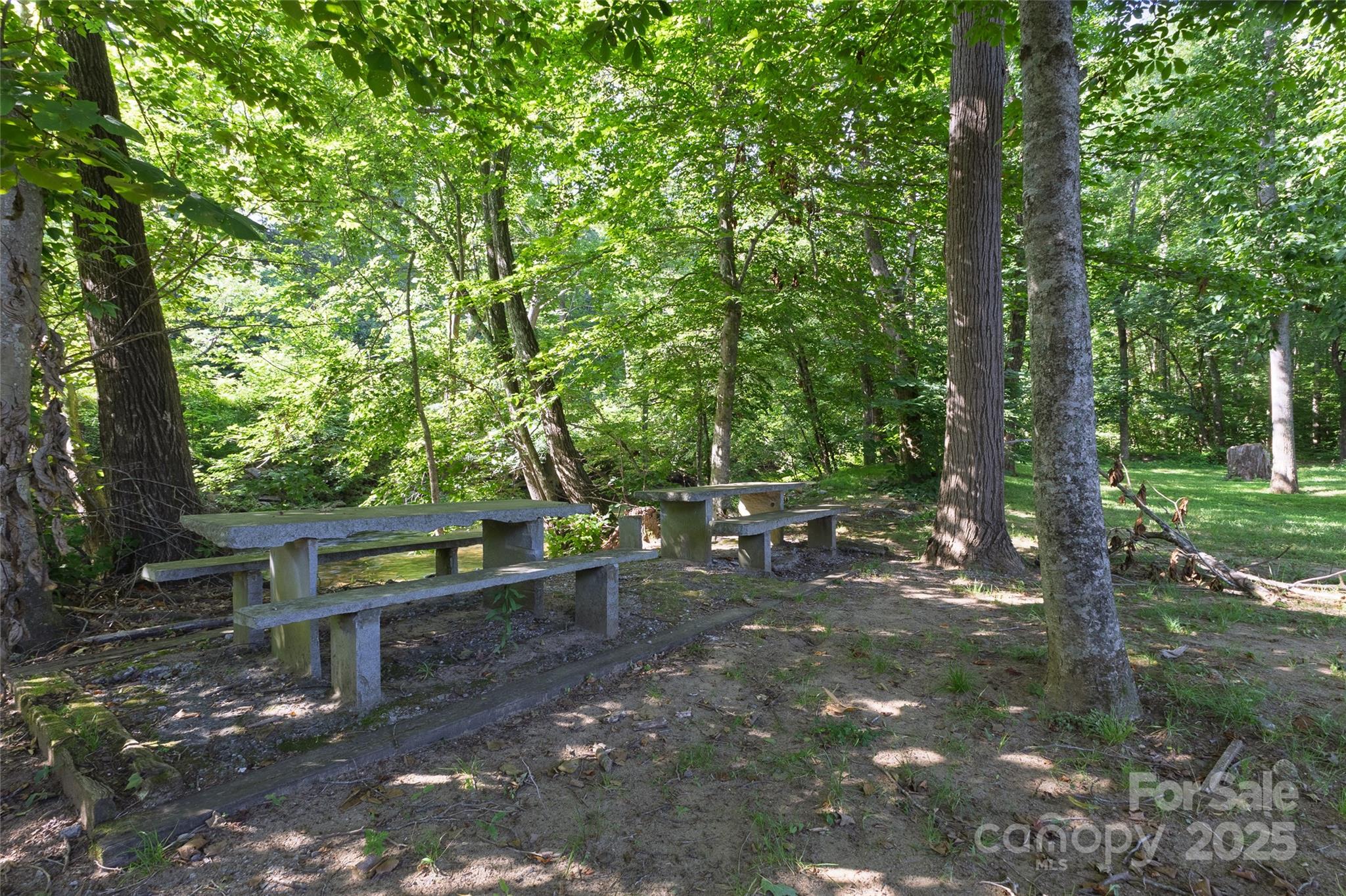 6306 Pigeon Road Canton NC 28716