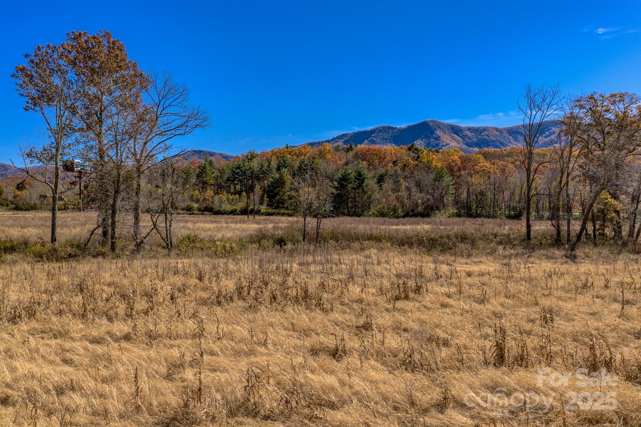 865 Blue Ridge Road Black Mountain NC 28711