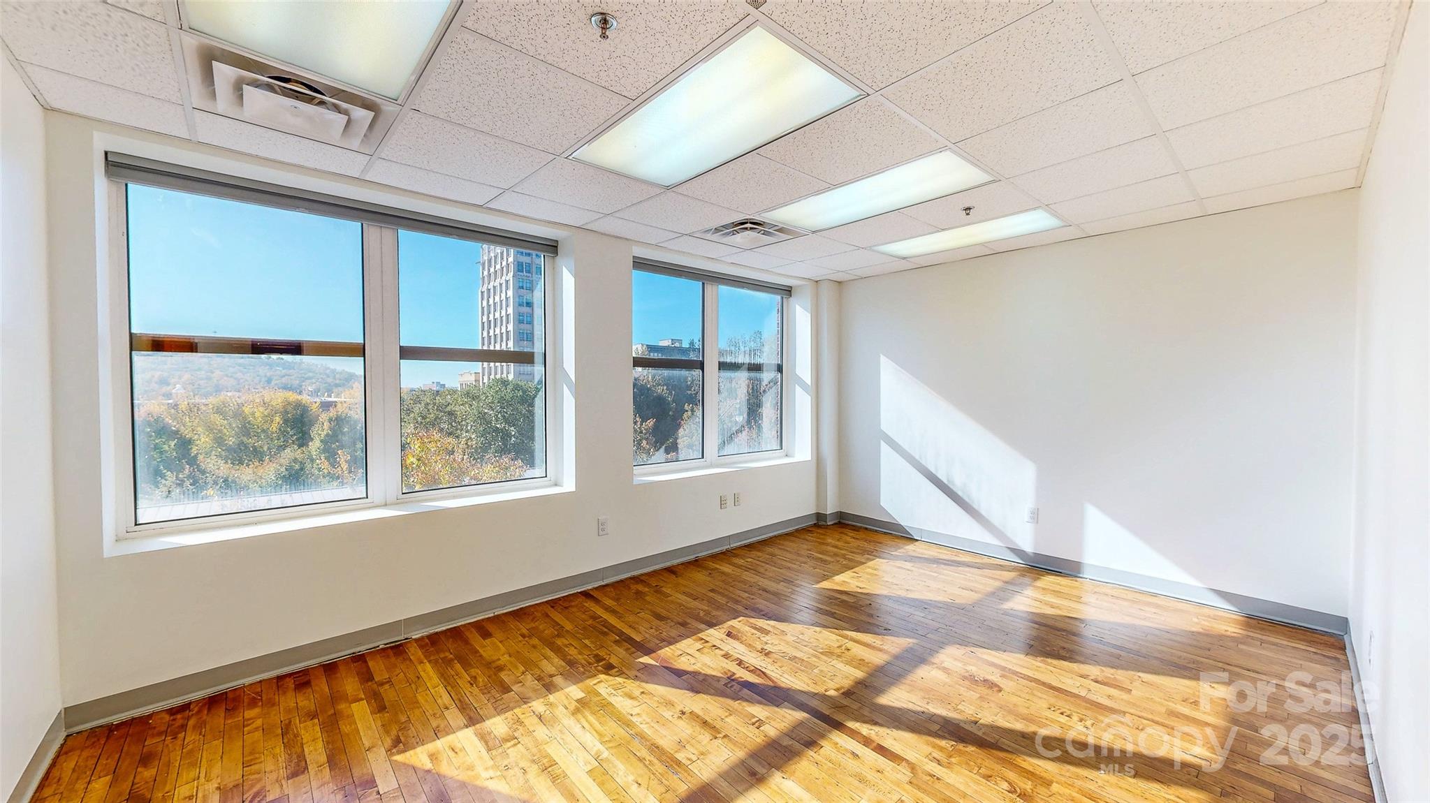 124 College Street Asheville NC 28801