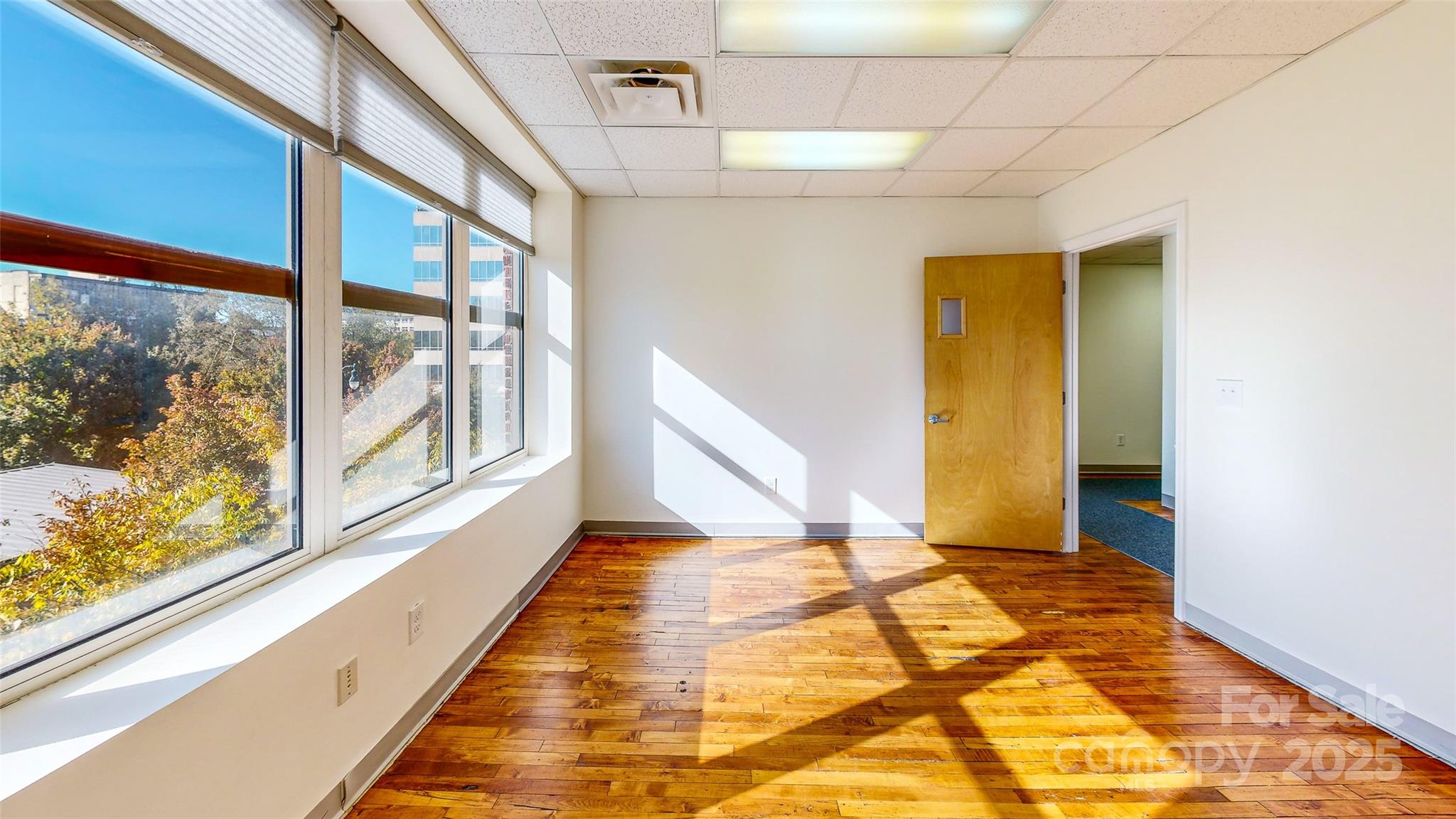 124 College Street Asheville NC 28801