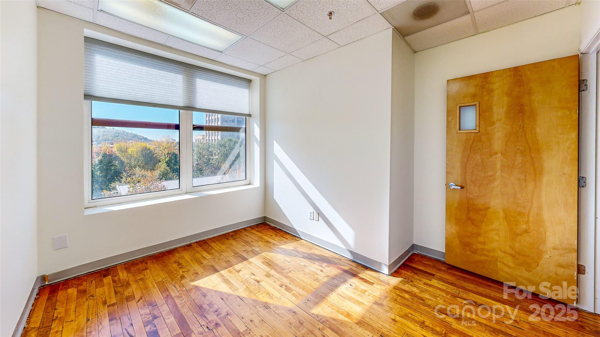 124 College Street Asheville NC 28801
