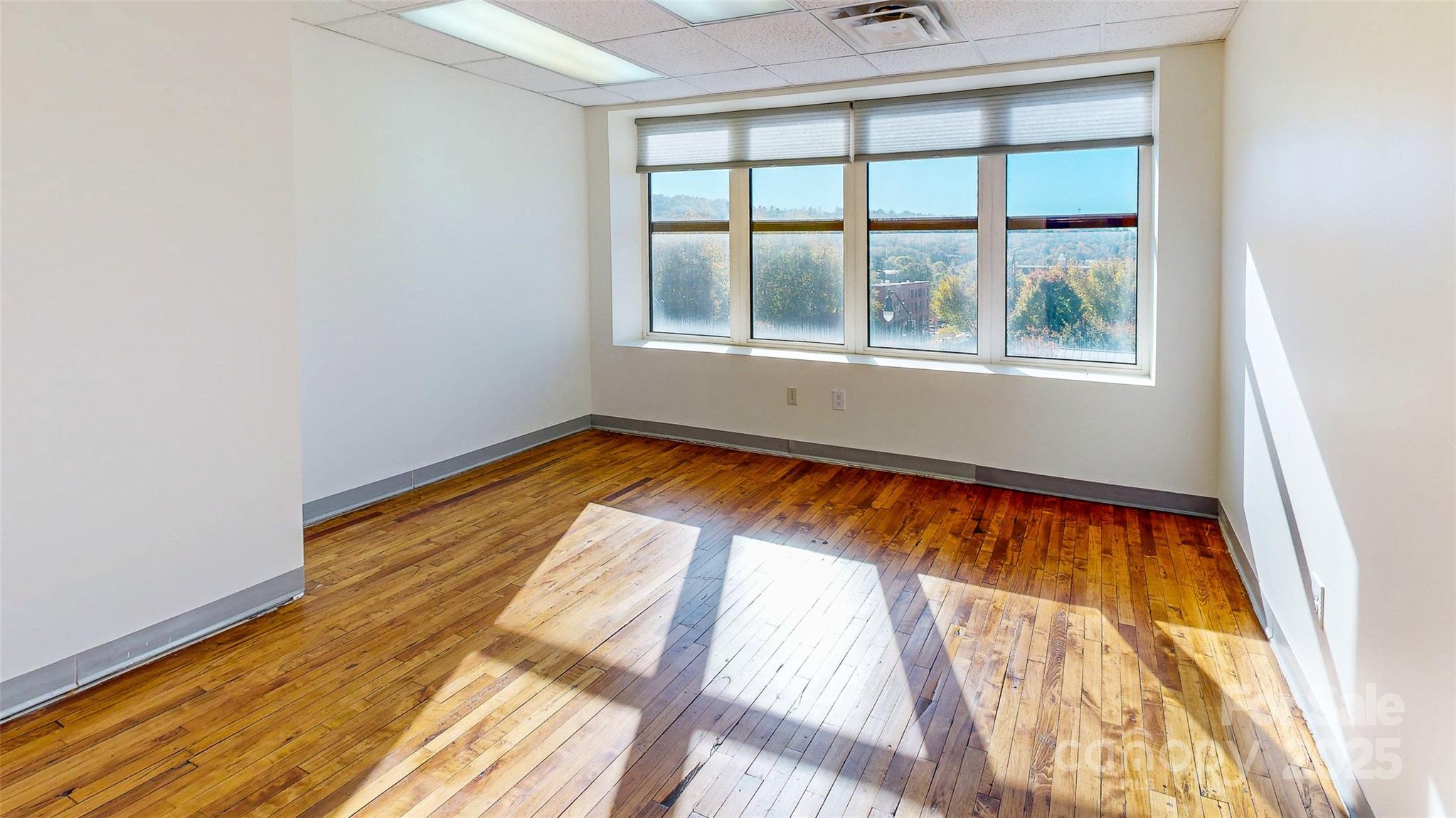 124 College Street Asheville NC 28801