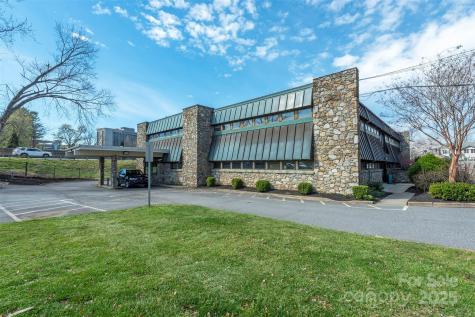 7 Orchard Street Asheville NC 28801