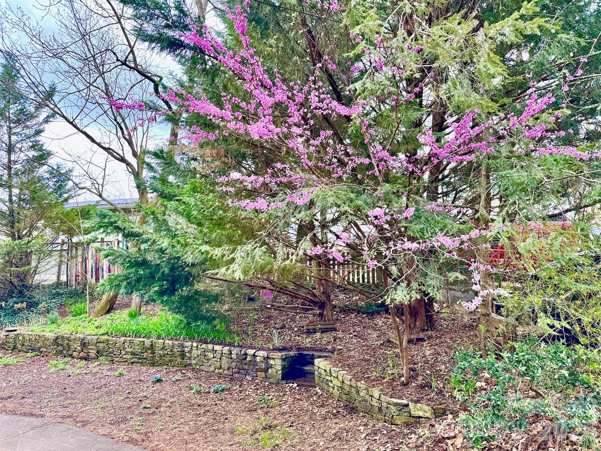 297 Hillside Street Asheville NC 28801