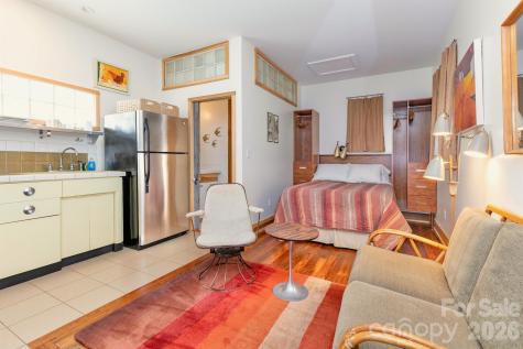 297 Hillside Street Asheville NC 28801