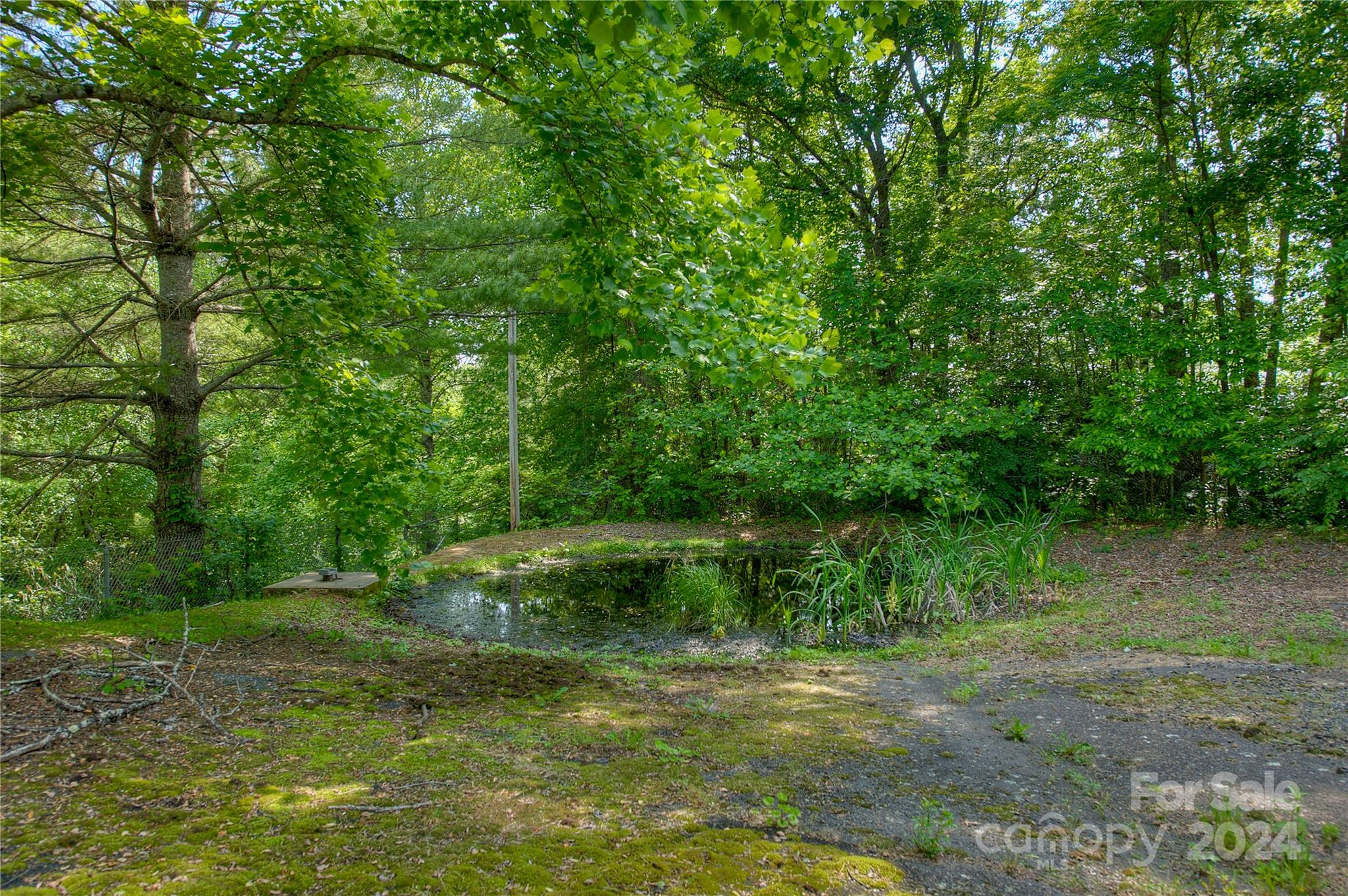 350 Henredon Road Spruce Pine NC 28777