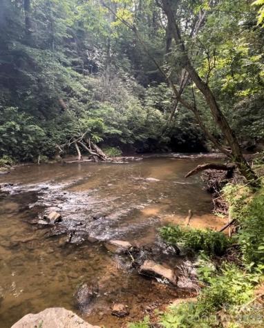 9/1 Old Mill Lane Weaverville NC 28787